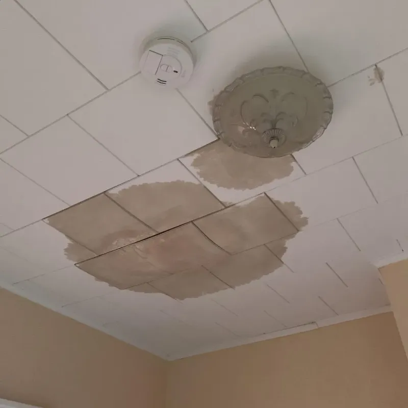 Ceiling Water Damage Repair in Upper Brookville, NY